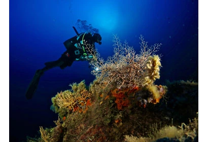 Isola d’Elba: 10 mète top per il diving