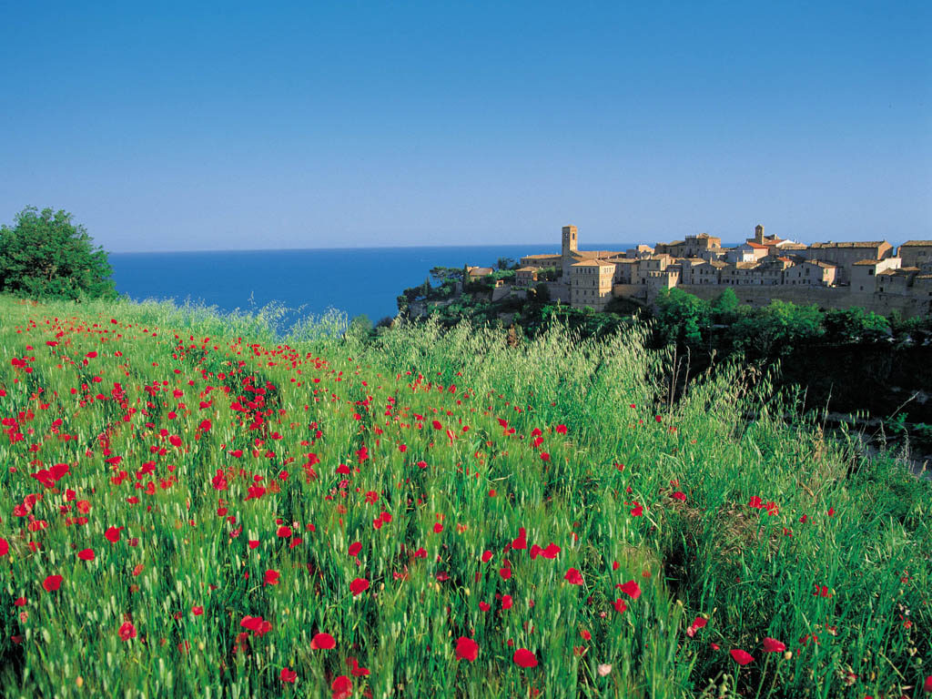 Torre di Palme. Fermo (copyright foto: Renato Gatta)