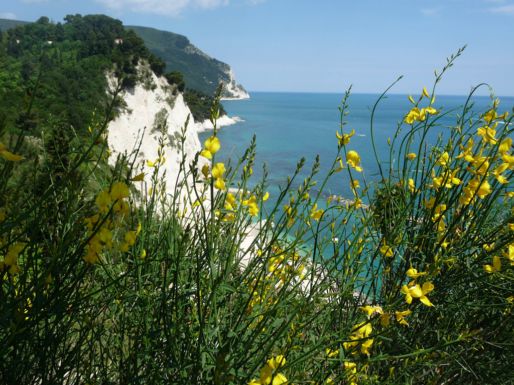 Riviera del Conero (copyright foto: Renato Gatta)