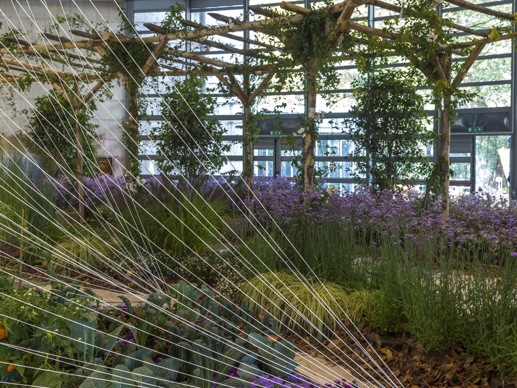 Nel Padiglione Centrale. Tra Empathy Garden di Federico Giacomarra e il Pergolato circolare a cura di Orticolario, sviluppato e realizzato da Rattiflora. Fotografia di Dario Fusaro. Scattata durante e per Orticolario 2014.