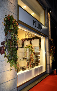 gruppo pellux mdr forza 4 milano 2016