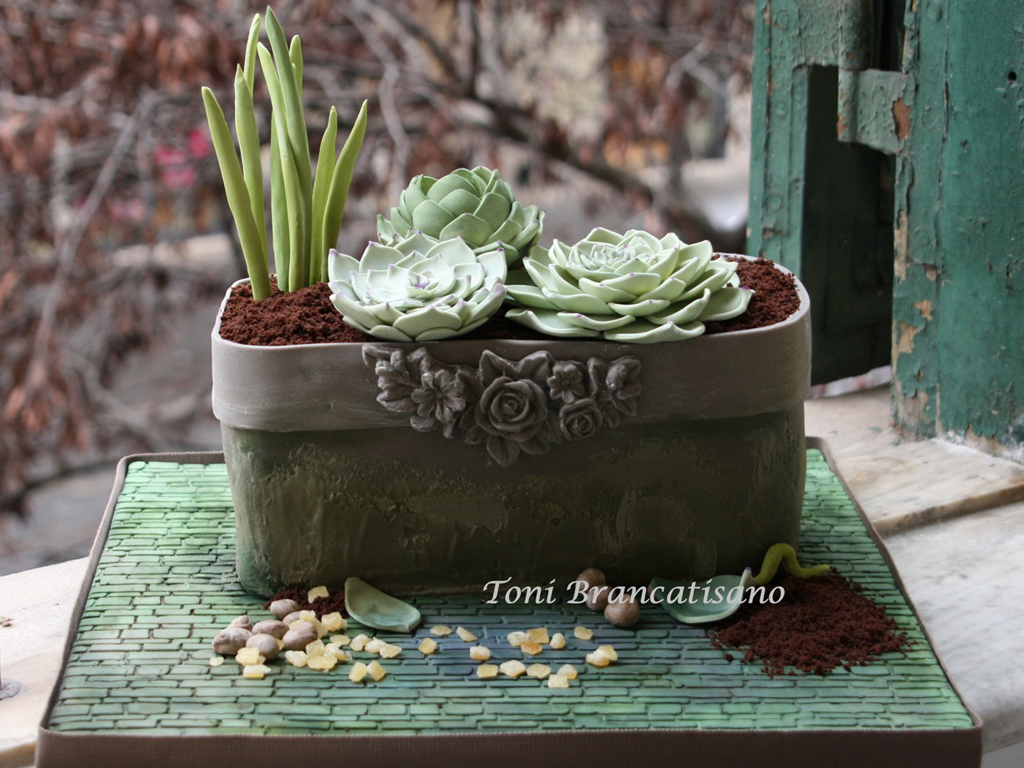 Toni Brancatisano. Le torte di Toni. Torta di compleanno, Flowerpot & Succulents.