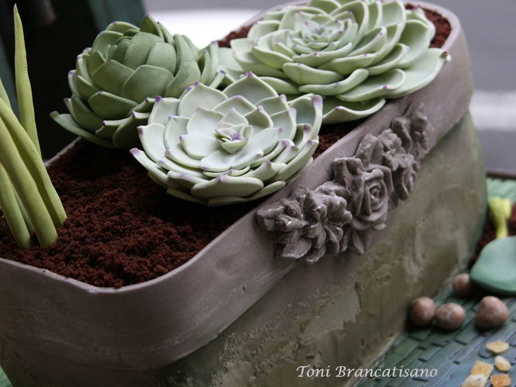 Toni Brancatisano. Le torte di Toni. Torta di compleanno, Flowerpot & Succulents.