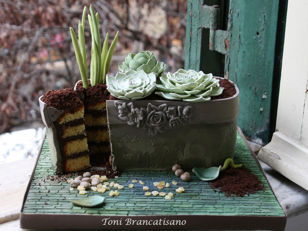 Toni Brancatisano. Le torte di Toni. Torta di compleanno, Flowerpot & Succulents.