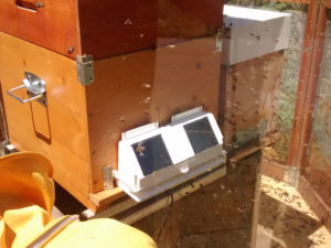 INTERNA Melixa MMape 300x225