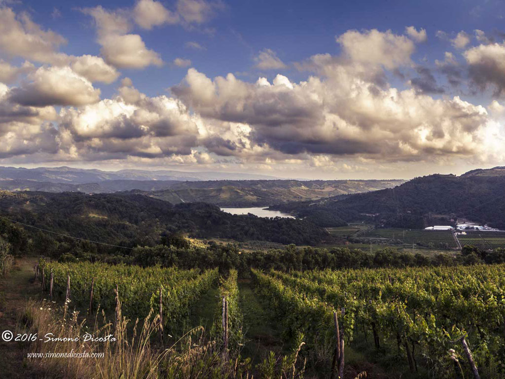 Cantine Benvenuto. Francavilla Angitola in provincia di Vibo Valentia è un paese nell'entroterra collinare calabrese sul versante del Mar Tirreno. Noto come il paese del Drago, nome del fiume che lo attraversa.