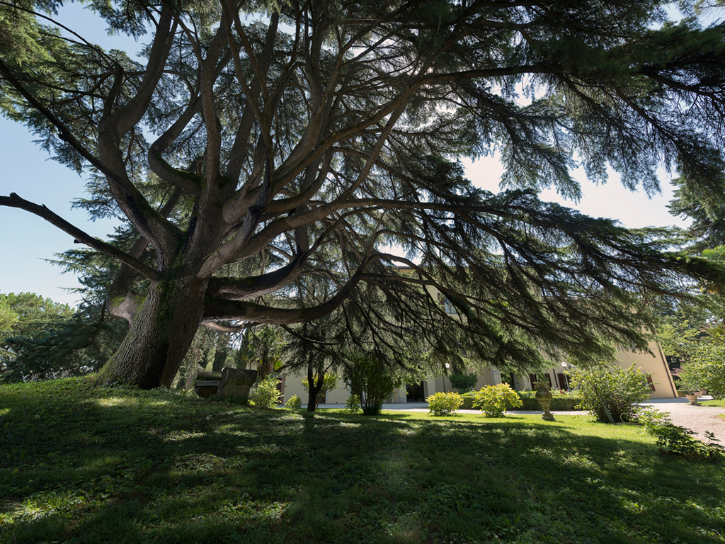 Hotel Alla Posta dei Donini. Nel parco il maestoso Ginkgo Biloba di duecentocinquanta anni e un imponente cedro del Libano di oltre trecento.