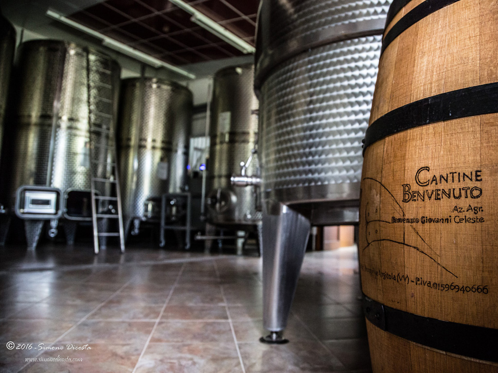 Cantine Benvenuto. Tradizione e innovazione convivono perfettamente per dare vita a vini dalla forte personalità (nell'immagine la cantina).