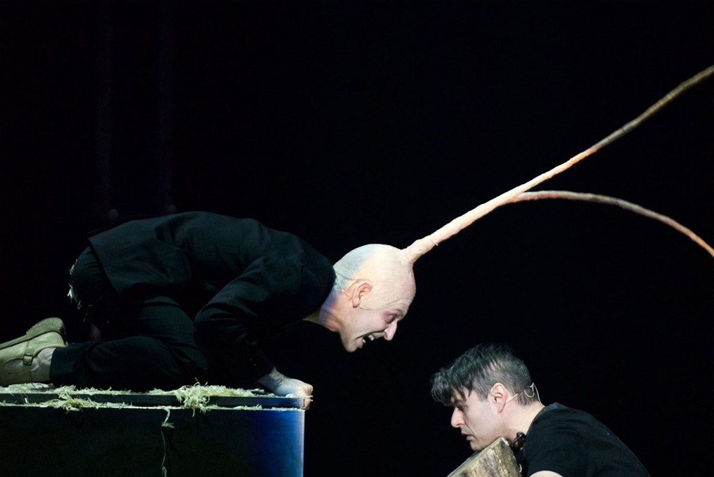 pinocchio recensione teatro strehler 2017
