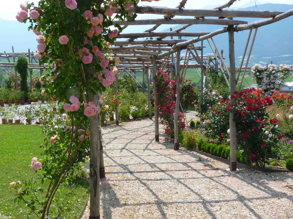 Grandi Giardini Italiani. Giardino della rosa - Ronzone, Trento.
