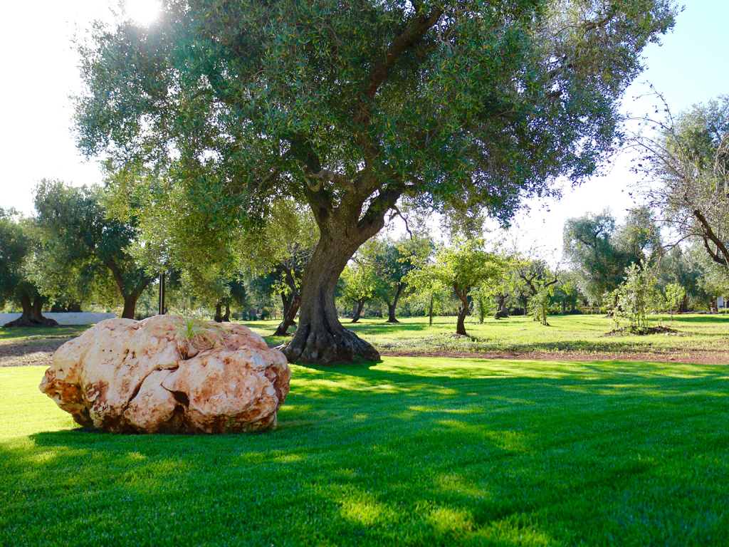 Relais Villa Aieni. Valle d’Itria. San Vito dei Normanni. Ancora una veduta del giardino che circonda la proprietà. Relax e privacy a trecentosessanta gradi.