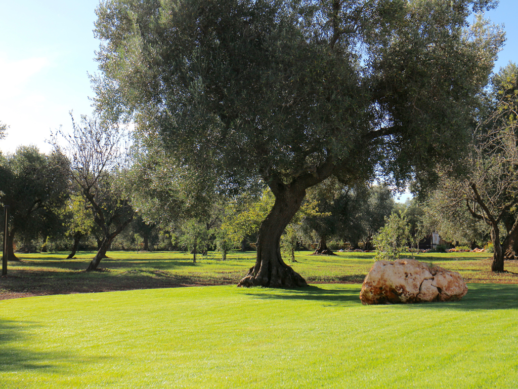 Relais Villa Aieni. Valle d’Itria. San Vito dei Normanni. Alberi da frutto, ulivi secolari e un vasto giardino circondano la villa.