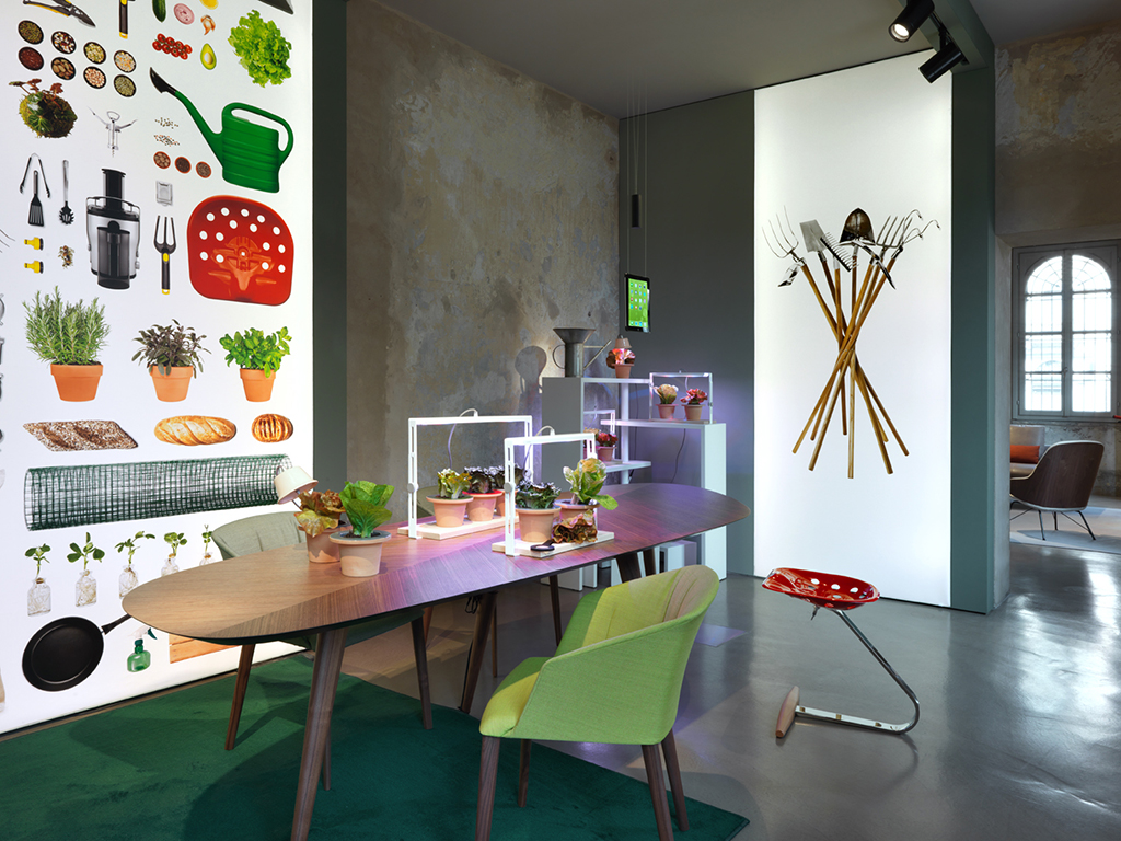 zanotta stories mostra