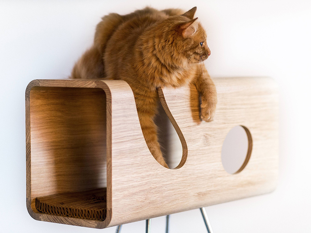 Brandodesign. CAT60, cuccia per gatti in legno massello ispirata alle forme morbide degli anni '60. (Euro 700,00)