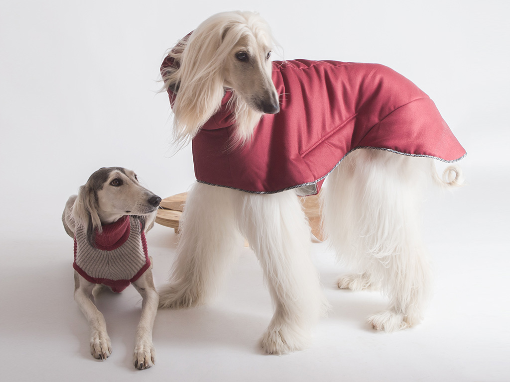 Temellini Milano e Temellini Dog à Porter. Collezione Autunno/Inverno 2017-2018. Fall/Winter 2017- 2018.