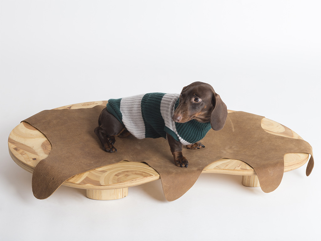 Brandodesign. Dune, lettino per cani dalle forme ergonomiche in legno di betulla e cappottino in cachemire della Temellini Milano collezione Autunno Inverno 17/18.