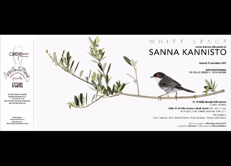white space sanna kannisto 2017