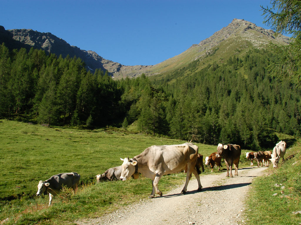 Val di Sole itinerari trekking 2018