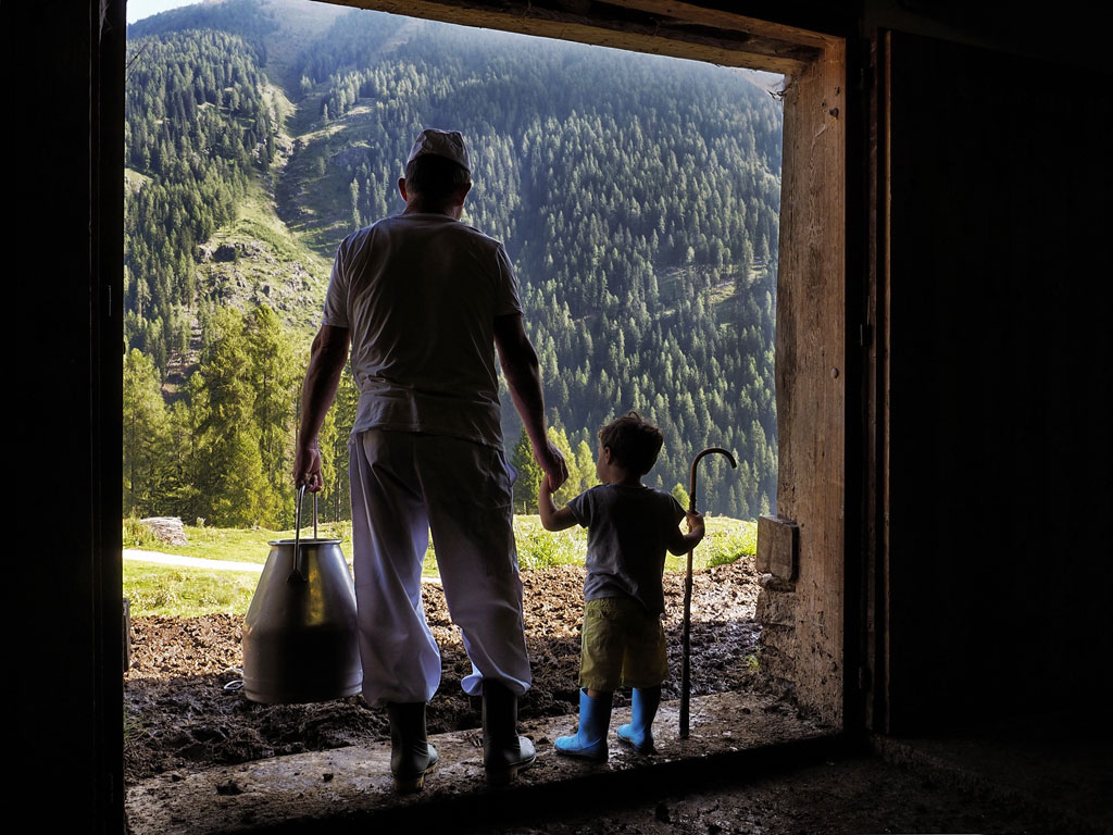 Val di Sole. Nelle malghe da formaggio della Val di Sole si lavora il latte fresco con metodi tradizionali e si producono burro, formaggi e ricotte di qualità eccezionale. La produzione casearia d’alpeggio infatti è quella che si caratterizza di più per contenuti di genuinità e artigianalità. (Ph. Romano Magrone)