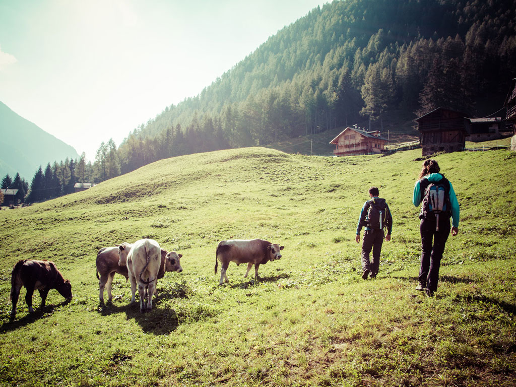 Val di Sole. Trekking in alta quota. (Ph. Pillow Lab)