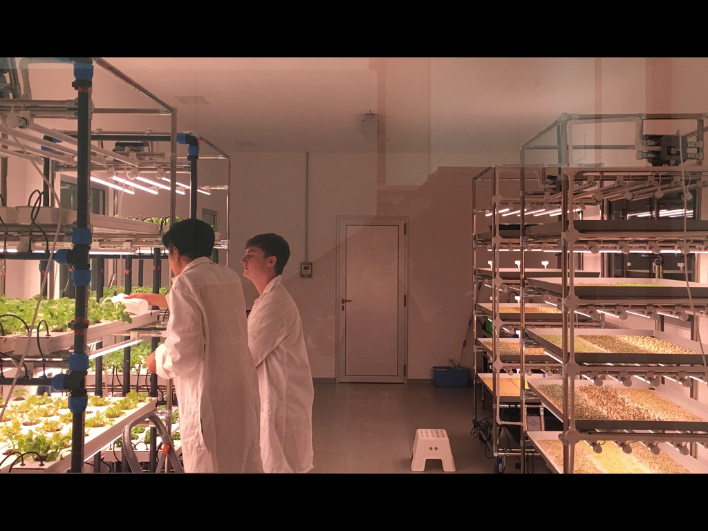 Milano Food District. Dalla partnership con Agricola Moderna – gruppo di ingegneri agronomi provenienti da tutto il mondo – è nata la Vertical Farm a coltura idroponica ossia la coltivazione di piante e ortaggi “fuori suolo” senza l’ausilio del comune terreno agricolo.