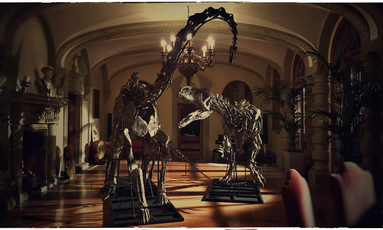 wunderkammer film documentario 2019