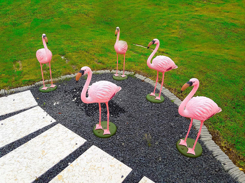 Amazon. Coloratissimi i fenicotteri in PE, perfetti come ornamento da giardino dotati di piantana per una ottimale stabilità nel terreno.