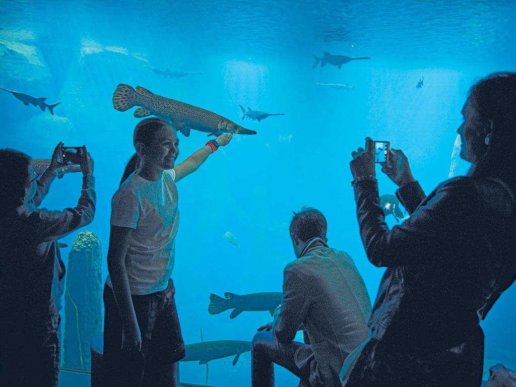 Aquatis. Bassin Evolution. Photo Sedrik Nemeth.