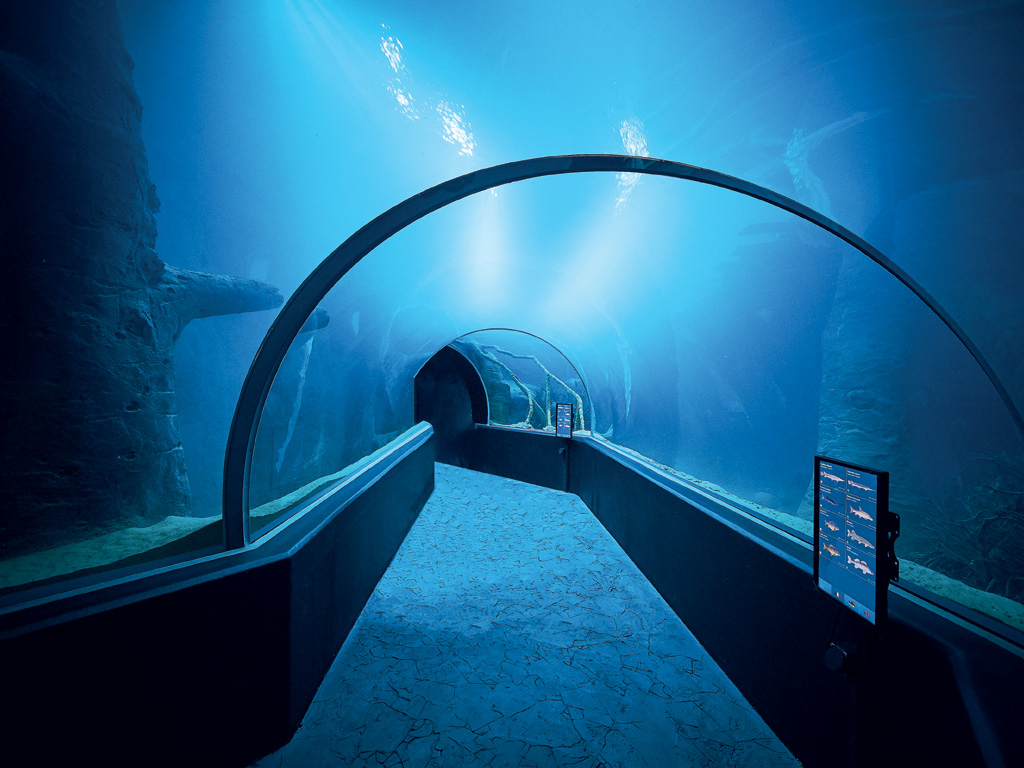 aquatis aquarium vivarium svizzera