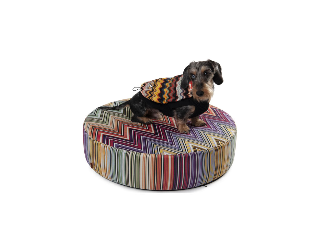 Missoni e Poldo Dog Couture
