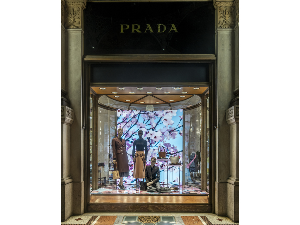 prada e thomas demand nuove vetrine