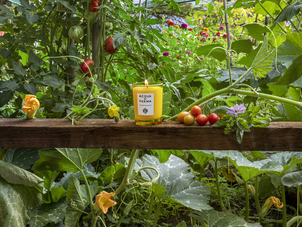 Acqua di Parma Home Collection