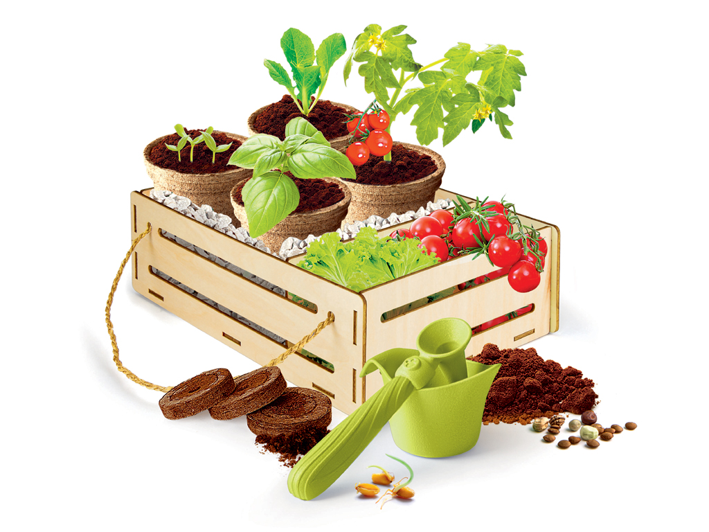 Clementoni. Linea Scienza e Gioco e di Play For Future. Gardening Kit contiene: una cassettina in legno, attrezzi del mestiere, vasetti biodegradabili, torba e sementi e sementi biologiche certificate per coltivare lattuga, pomodoro e basilico. Il Kit è realizzato con plastica e cartone del pack 100% riciclato. (Età: da 7 anni – Prezzo: euro 14,90).