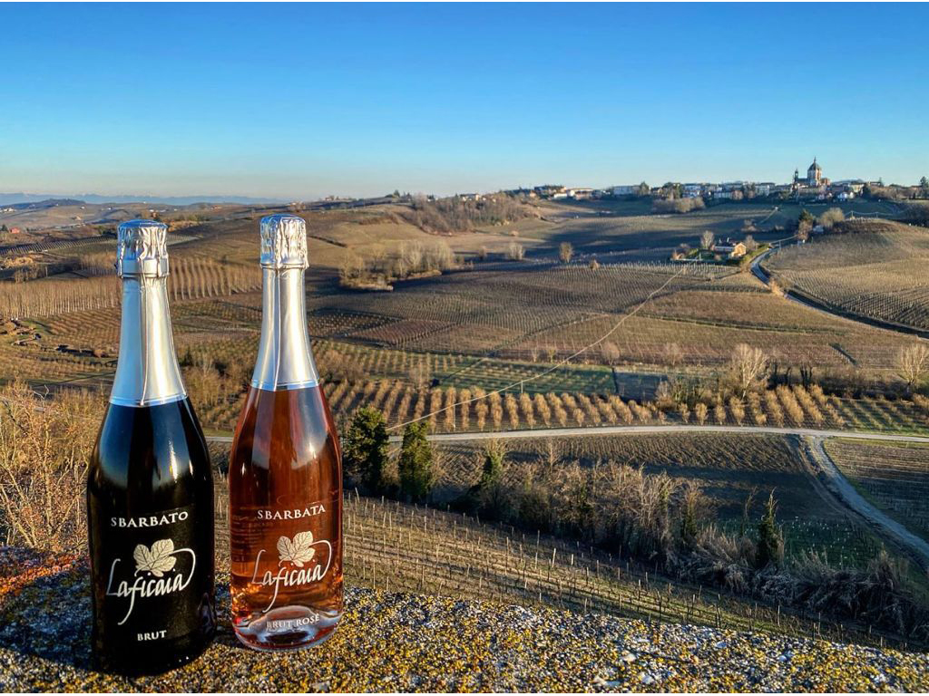 Laficaia. Sbarbata Brut Rosé e Sbarbato Brut. Area di produzione: vigneti in Mombaruzzo e Nizza Monferrato. Sbarbata Rosé si compone di uvaggio Barbera e Moscato mentre Sbarbato Brut di Chardonnay, Cortese e Barbera. Sono vini giovani, leggeri e facili da bere. Metodo: Martinotti-Charmat. Abbinamenti: tutti i primi piatti a base di pesce, verdure, carni grigliate e formaggi freschi. Ideali come aperitivo. Prezzo euro 9,40.