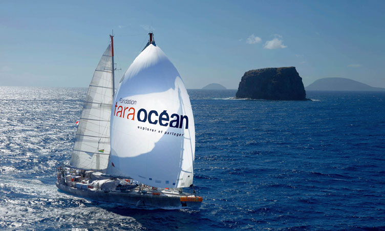 North Sails e Tara Ocean Foundation insieme per Mission Microbiomes
