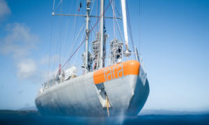 North Sails e Tara Ocean Foundation insieme per Mission Microbiomes