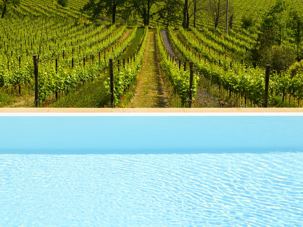 Agriturismo Corte Lantieri. Tra grandi terrazze e giardini fioriti spicca affacciata sui filari la piscina.