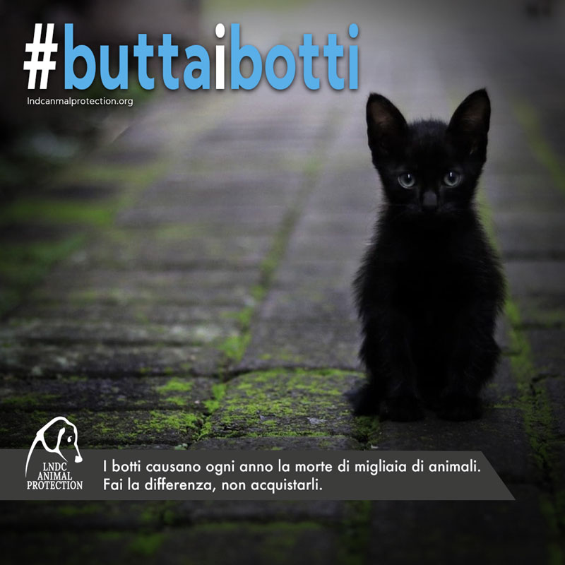 LNDC Animal Protection si appella quindi ai Sindaci di tutta Italia attraverso la campagna #buttaibotti