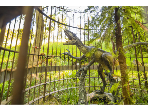 Giardini di Castel Trauttmansdorff Esemplare di Wollemia Nobilis copyright Karlheinz Sollbauer