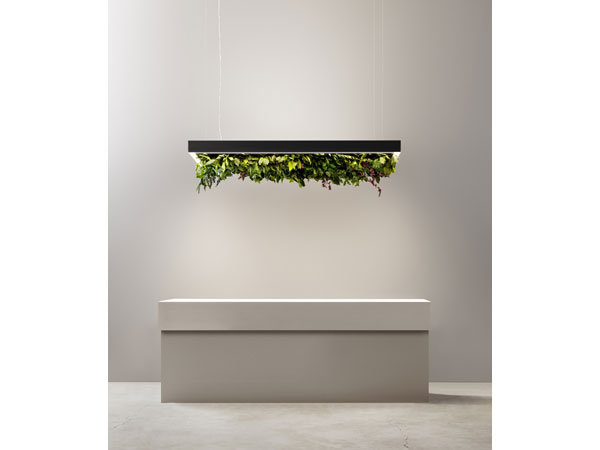 Olev Meeting Silence Leaf vert tavolo Salone del Mobile Euroluce 2023 600x450