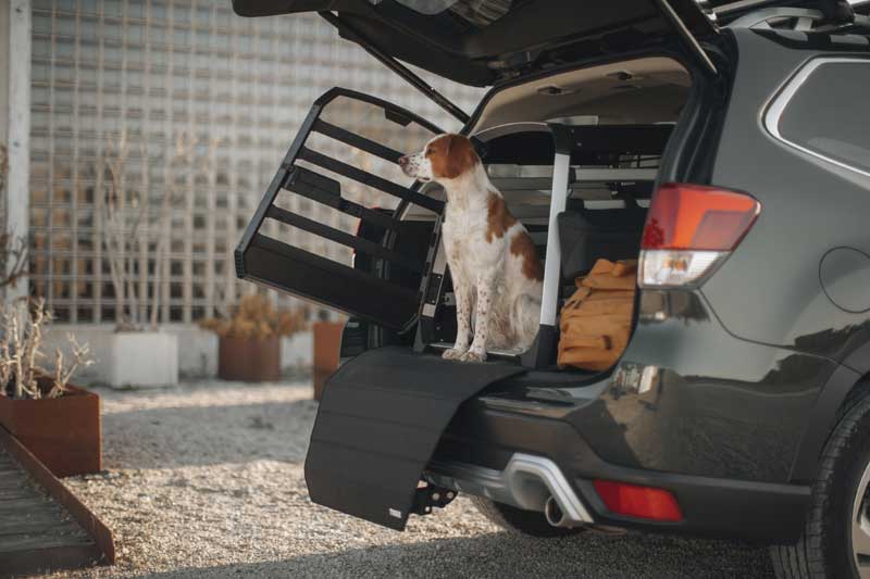 box per cani per trasporto in auto a prova di crash test