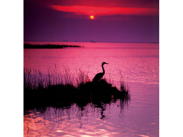 Nei Colori del Tramonto Tramonto sulla Laguna credits archivio PTFVG 5 percorsi trekking 5