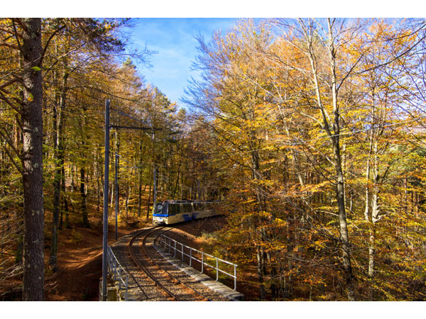 Ferrovia Vigezzina Centovalli Treno del Foliage ph Marco Benedetto Cerini Halloween 2025