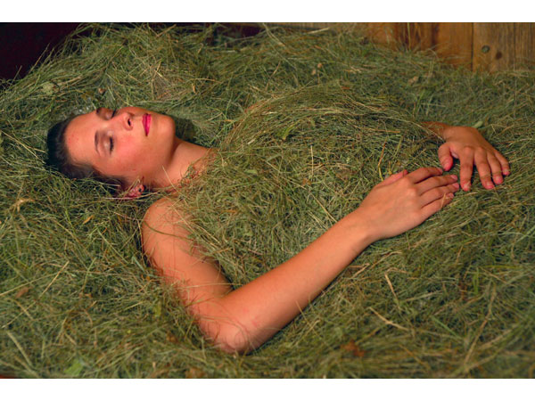 Gallo Rosso Naturoase Stegerhof Trodena Alto Adige