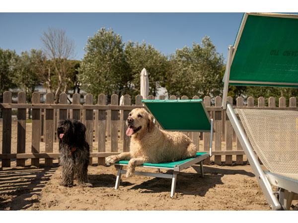 Grado spiaggia cani ph benjamin bilkic 600xx