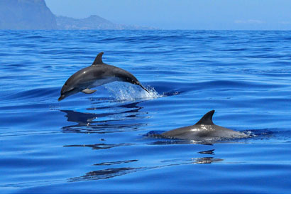 Isola d'Elba: cinque itinerari nella natura Estate 2025