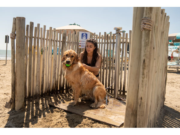 Lignano spiaggia cani ph Benjamin Bilkic 600x