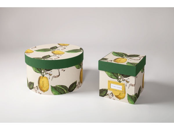 Toscanini Cappelliera Scatola Schumacher Le Citron in Natural 4