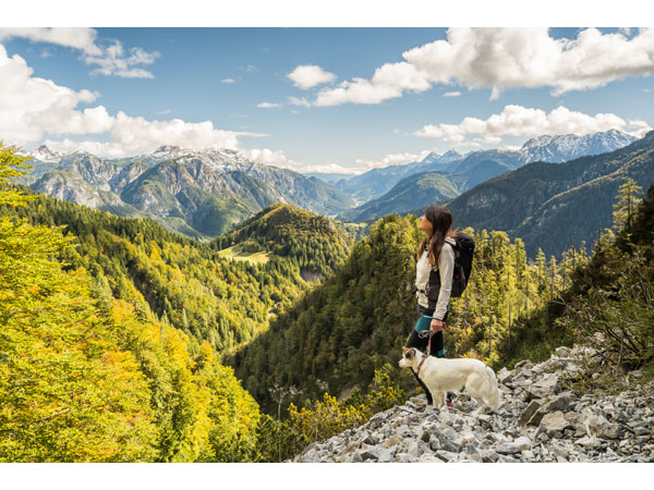 Trekking cani FVG ph Luciano Gaudenzio 600x