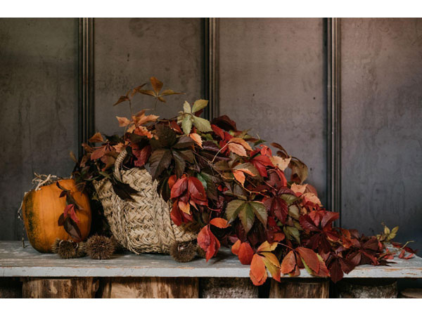 Hanami Atelier flower designer composizioni floreali